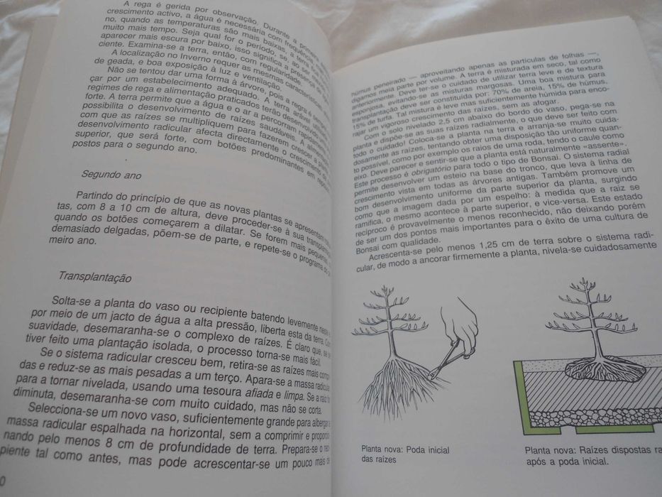 A Arte do Bonsai por Peter Adams