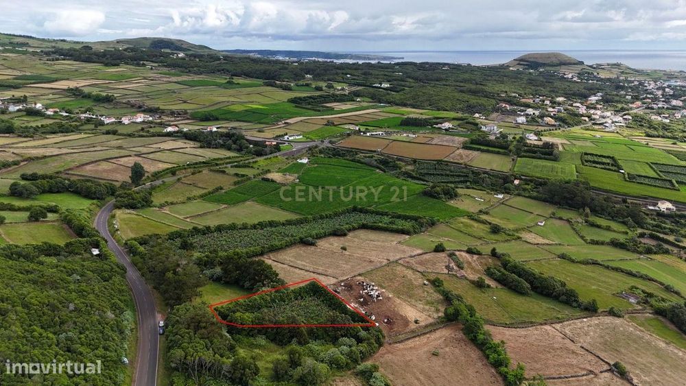 Rustic Plot with Orchard in the Village of São Sebastião