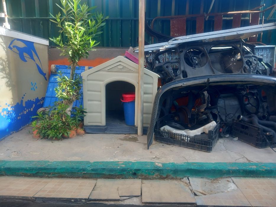 Casotas para cães