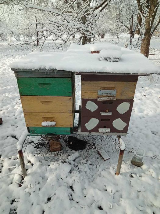 вулики порожні вулики з бджолами бджлосімї