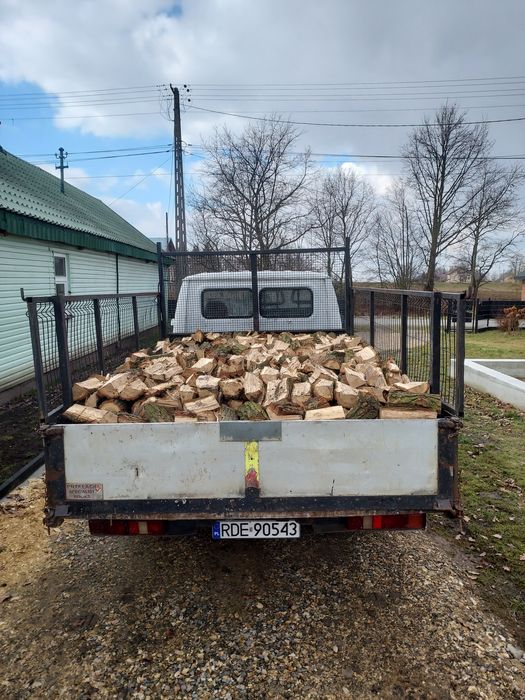 Drewno, Drzewo opałowe dab