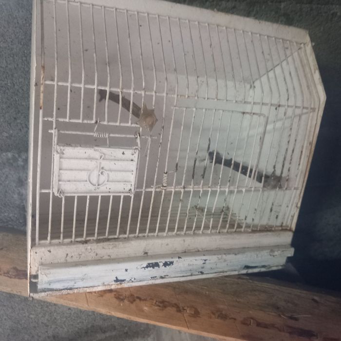 Gaiolas de exposiçãos