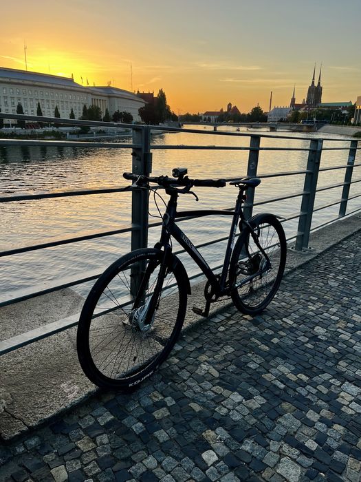 Gazelle Cityzen S9