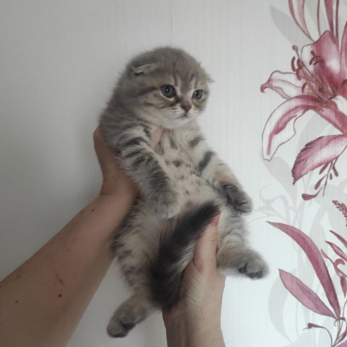Неймовірна красота