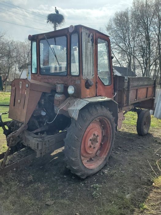 Продам Трактор Т-16