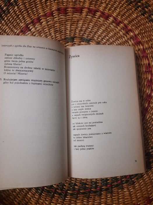 Książka Tadeusz Śliwiak - Płonący gołębnik