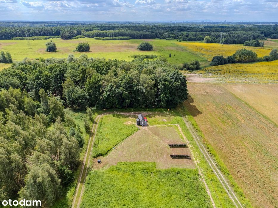 Dwie wyjątkowe działki / 4408 m² / Budziwojowice / gm. Długołęka - Widok 4