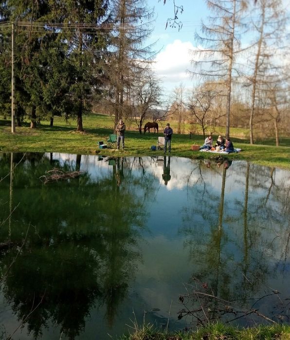 Domek Domki Jacuzzi Sauna Kocioł SPA  Beczka Alpaki Konie
