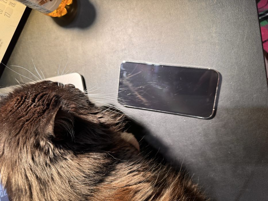 iPhone 13 Pro Max 256 Гб