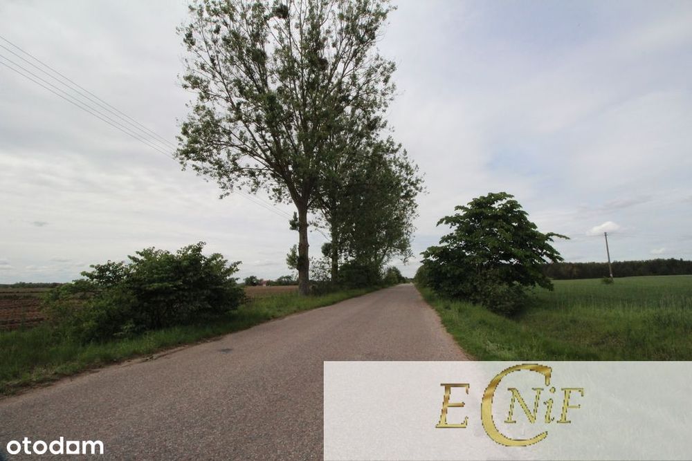 Działka budowlana Białaszewo Kolonia kilka działek