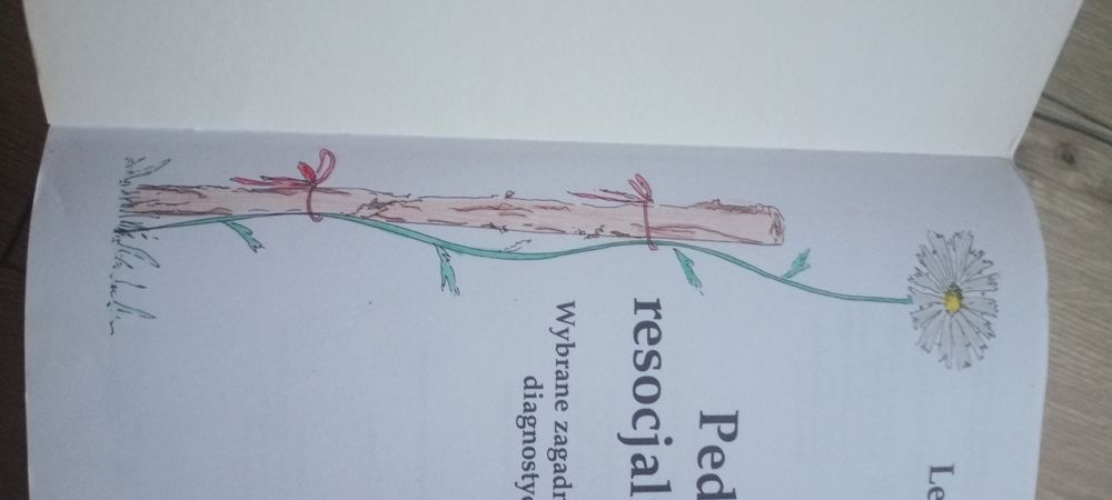 Pedagogika resocjalizacyjna