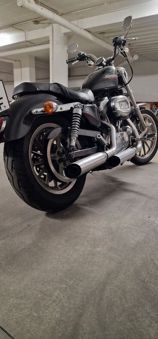 Harley davidson 883