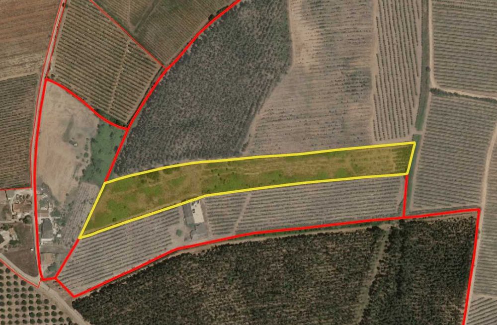 Terreno Salgueiral Cadaval