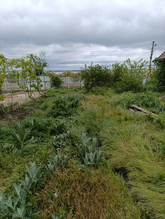 Рассрочка! (Год) Дом в Овидиополе