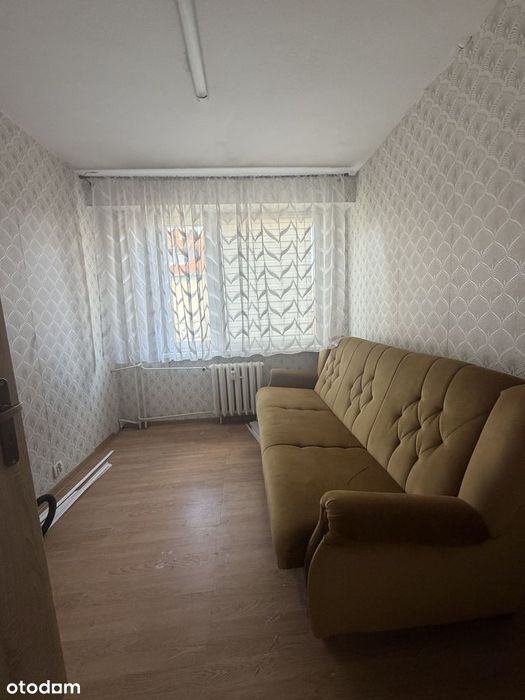 Zdjęcie 3