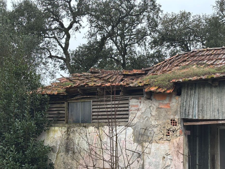 Moradia para recuperar em rio maior