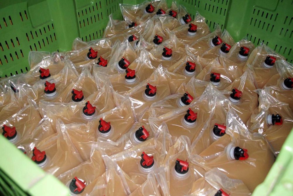 15 Litrów (3 worki po 5 Litrów) Sok Jabłkowy 100% Naturalny