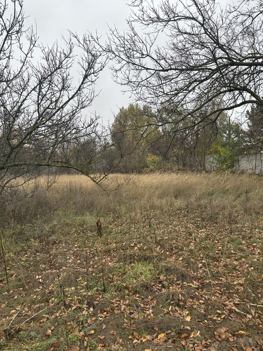 Продам дом в Куриловке