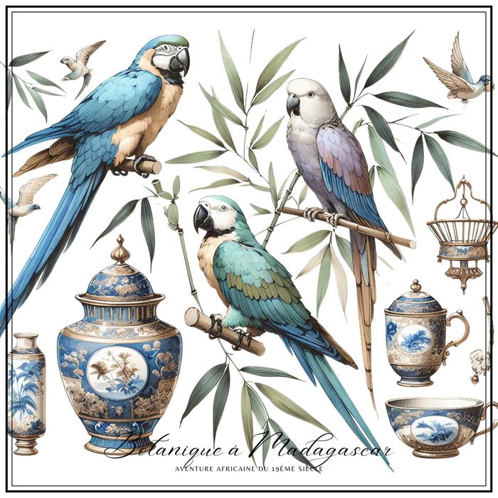 Grafika z kolekcji "Botanique a Madagascar" - Afryka XIX wieku