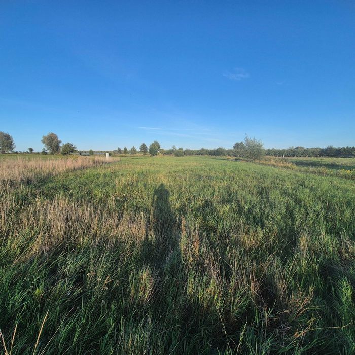 Rzakta | bezpośrednio działka budowlana 1000 m² WZ na dom | wodociąg | prąd REZERWACJA - Widok 2