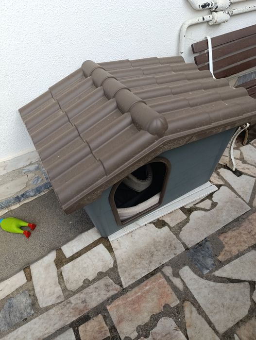 Barraca para cão