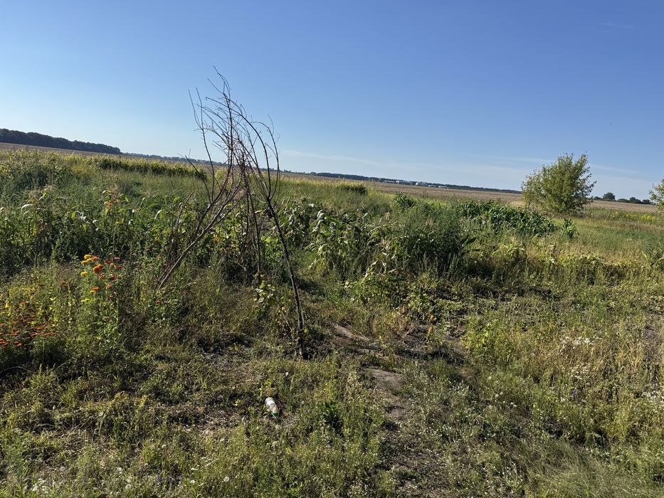 Продам будинок + земля/ присадиба/Гребінки