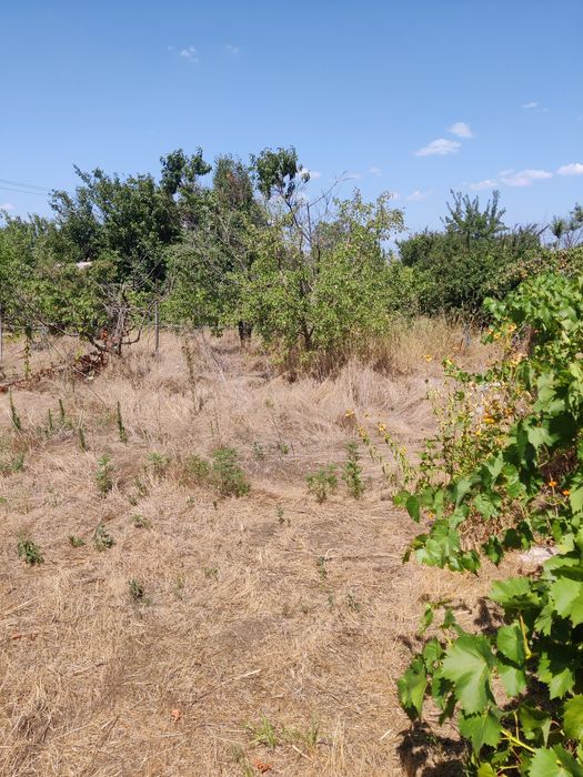 Дача в районі Льовшинського заливу