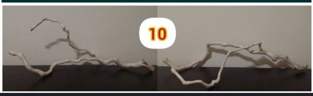 Продаю коряги, для декору акваріуму, або тераріуму