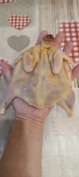 Своя Перепілка,добові,підрощі, сім'я,мясо