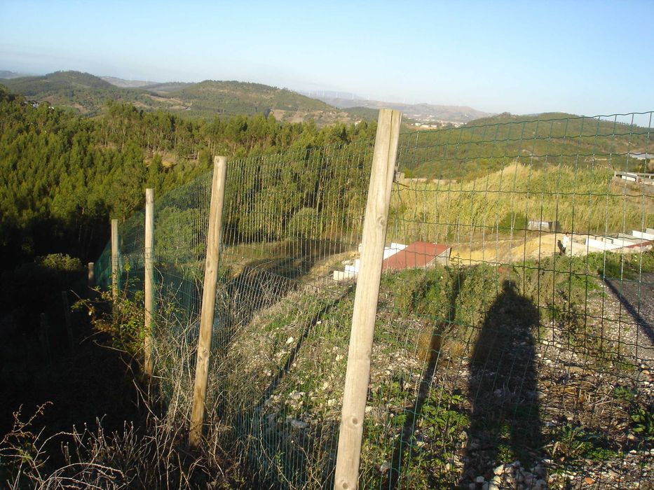 MAFRA  - Terreno Misto de 5875m2 c/Canil