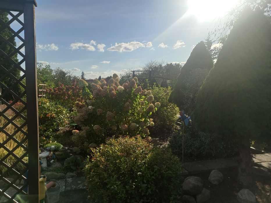 Działka ROD 40-lecia W.P.