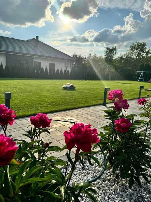 Projektowanie i kompleksowa realizacja ogrodów, roboty koszące