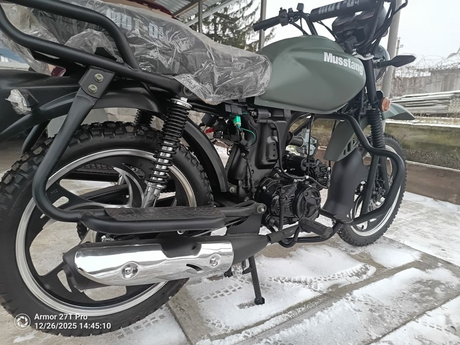 Mustang.MT-125. DINGO.