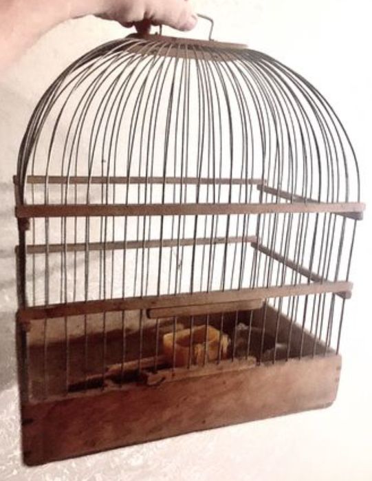 Клітку для папуги, канарки, голуба…, тощо