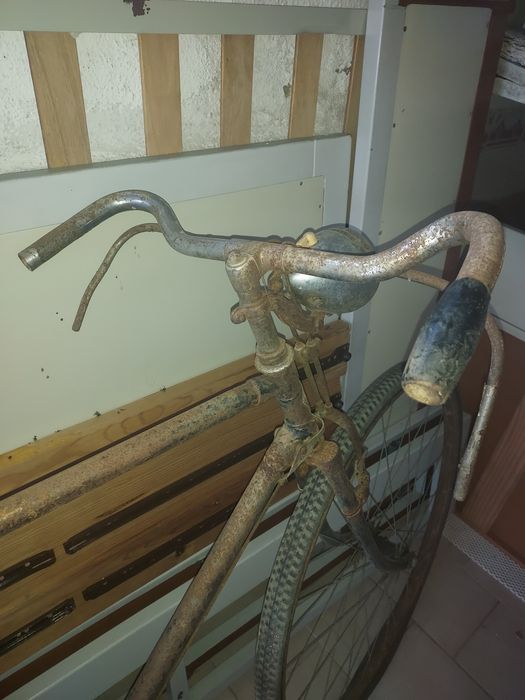 Pasteleira alentejana