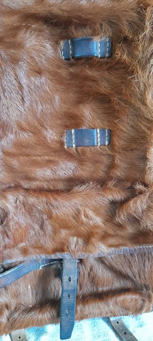 Mochila antiga Suíça