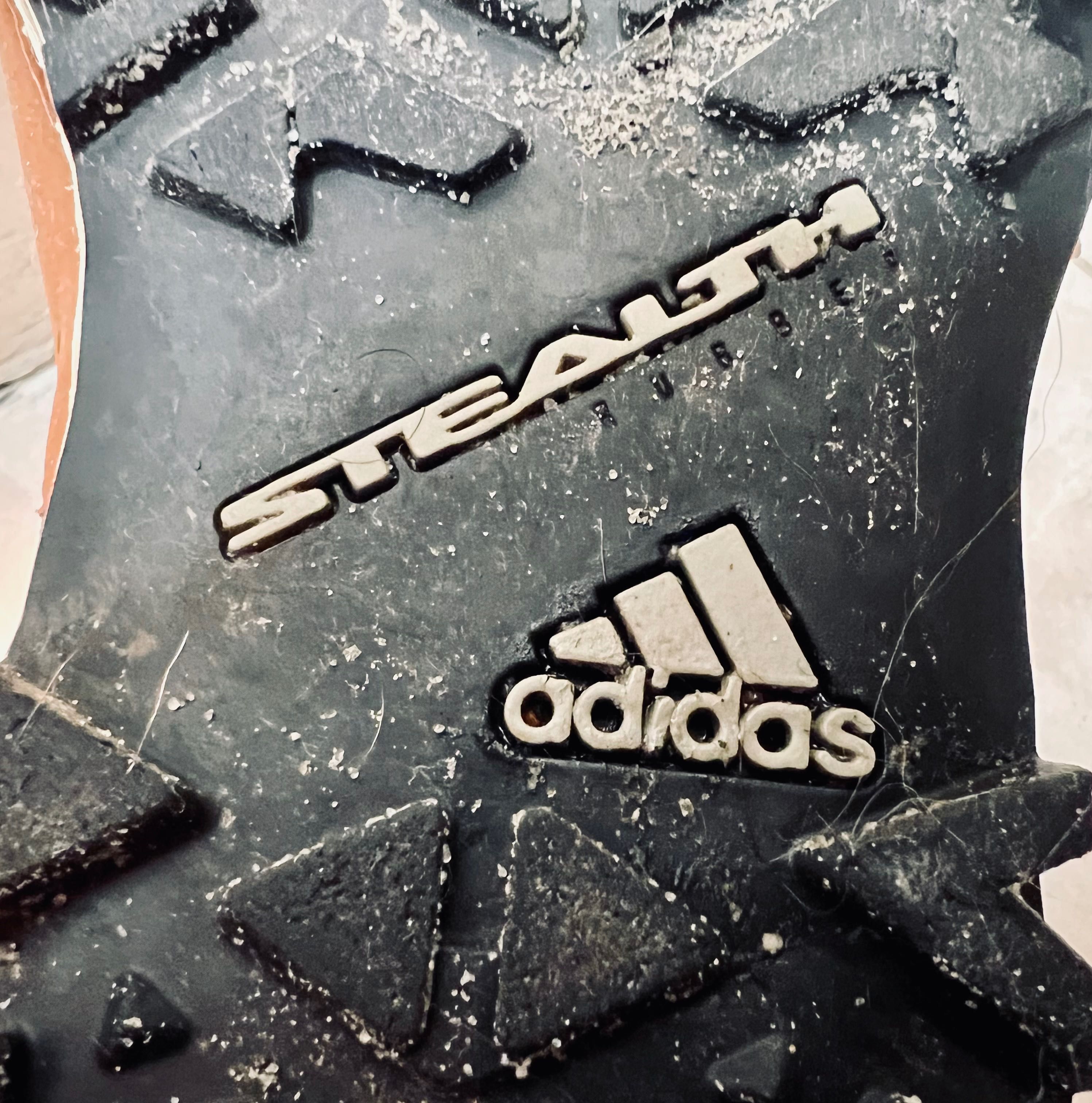 Terrex stealth 2025