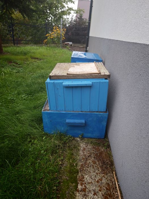 Ule wielkopolskie, odymiarka nóż przenoski