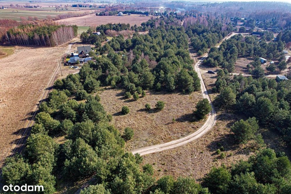 Działka, Krupocin