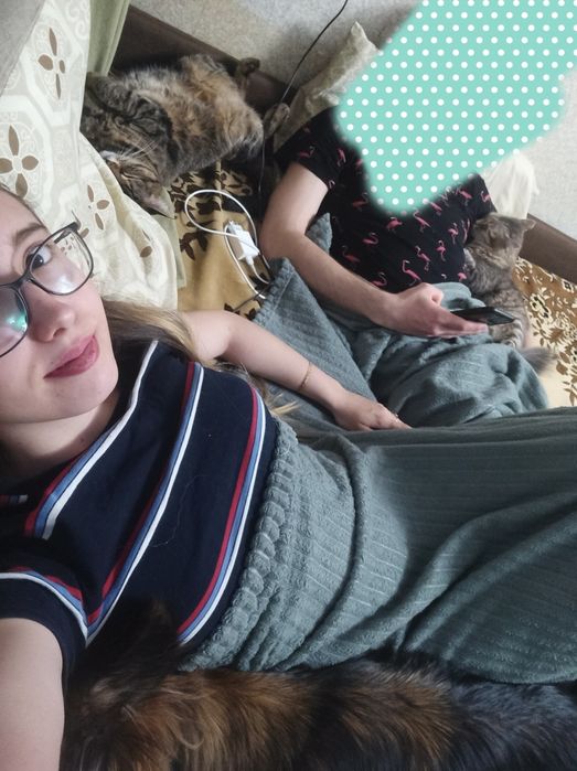 Перетримка ваших тварин з любовью, котики та інші, зооперетримка