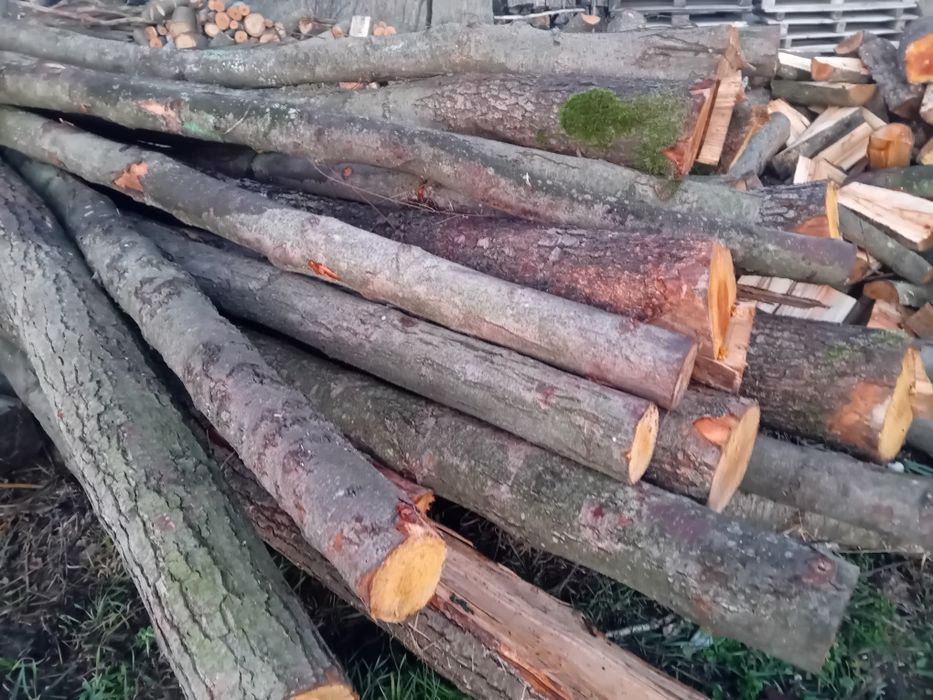 Drewno kominkowe,opałowe