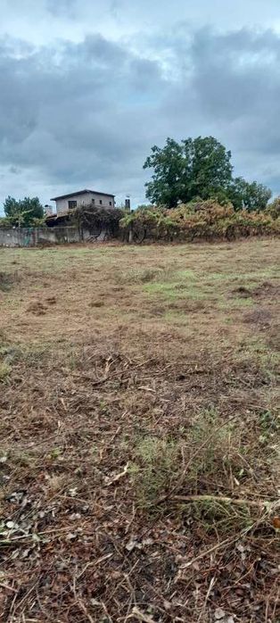 Limpeza de terrenos agrícolas e florestais
