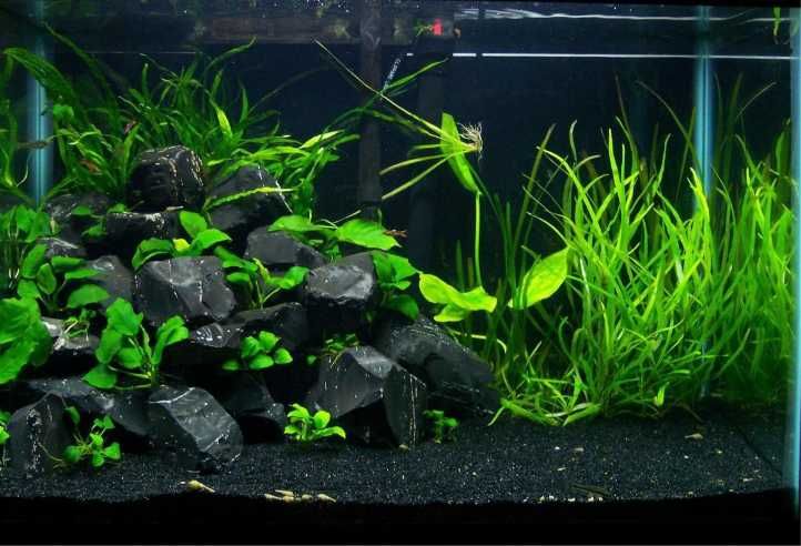 Грунт для акваріума чорний базальт . Фракція 1-3 мм. Вага 5 кг.