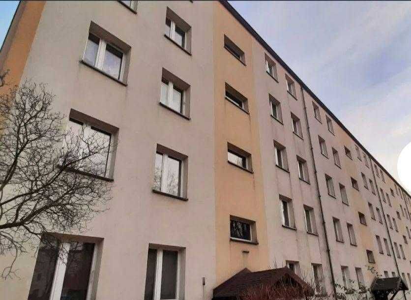 Zdjęcie 5