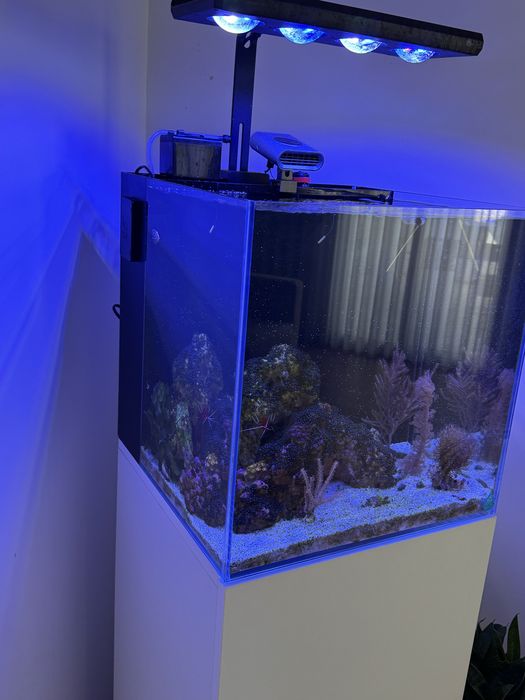 Aquario marinho com movel