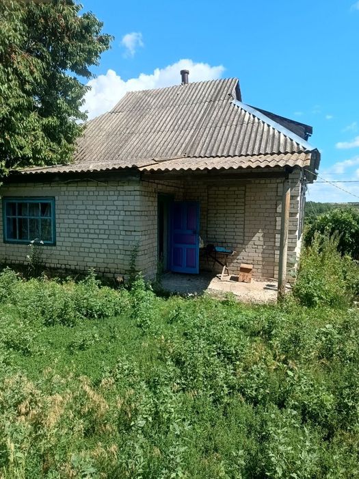 Продам будинок в селі Петрозагір'я