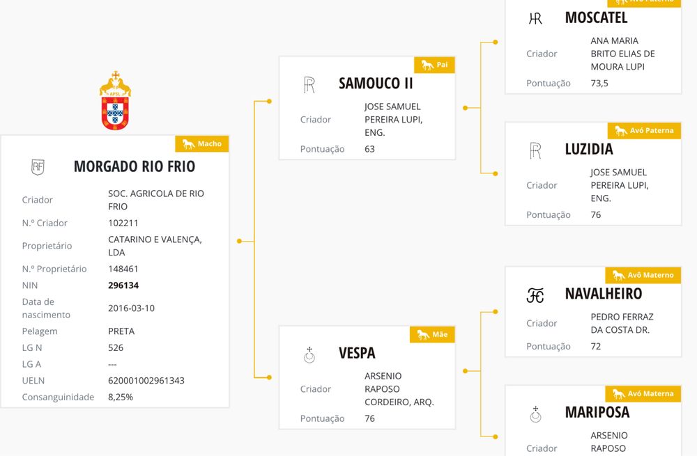 Puro Sangue Lusitano