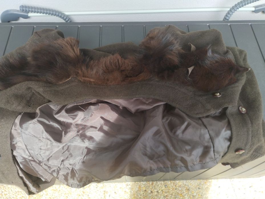 Casaco curto com raposa