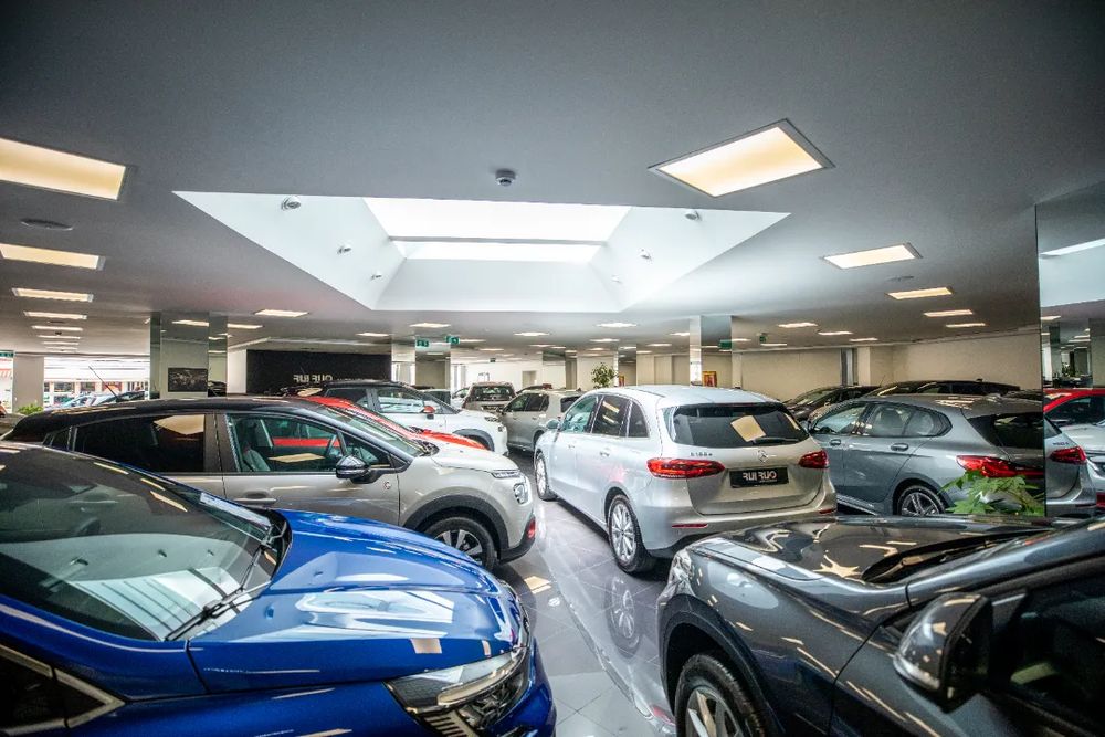 business-site-gallery-photo