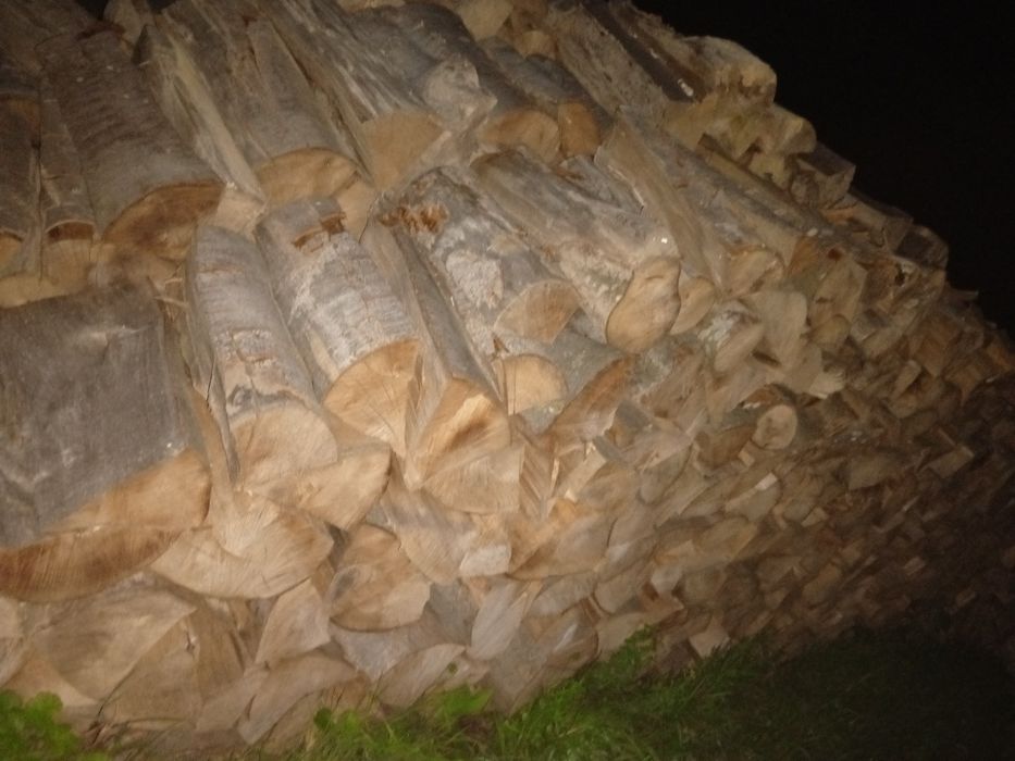 Продам дрова букові